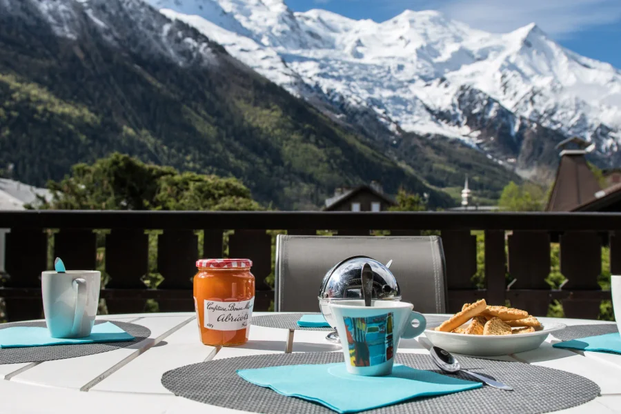 Beautiful, modern apartment close to the Planpraz lift photo 4