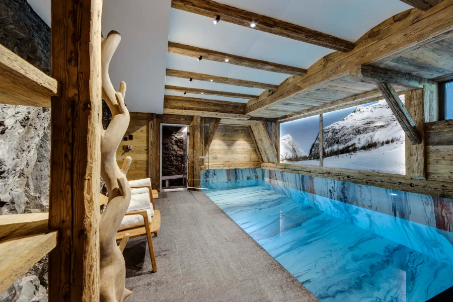 Modern chalet with wellness facilities photo 3