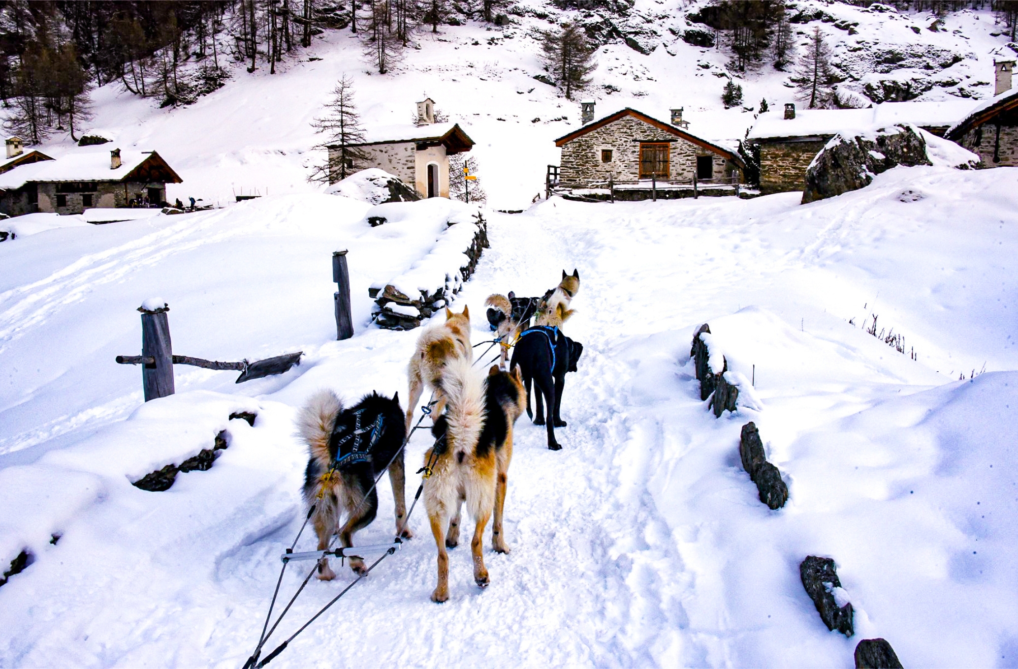 Explore Sainte Foy