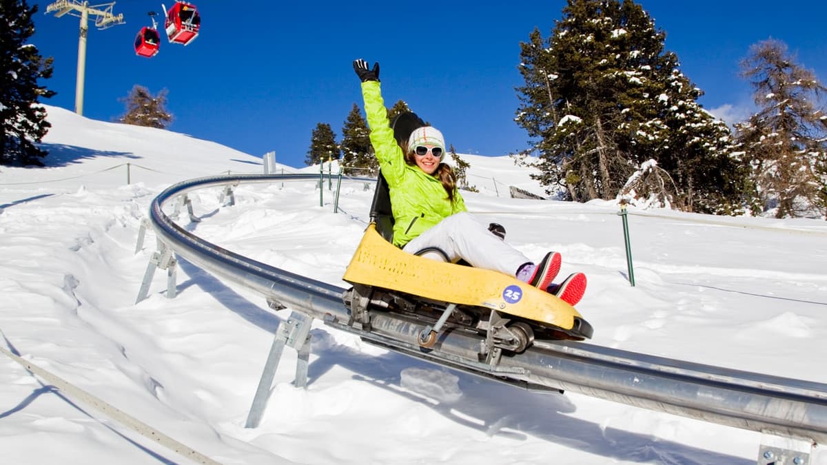 Monty Express Luge